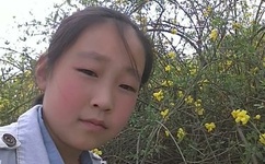 2013国剧盛典直播